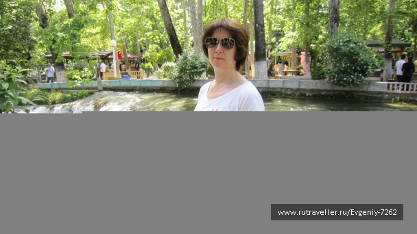 photo 745795