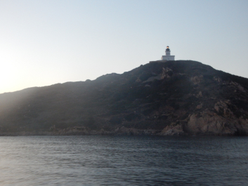 photo 1869476