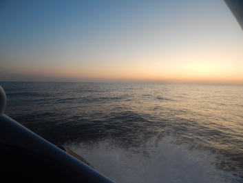 photo 1869486