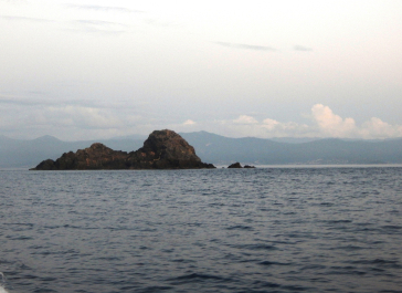 photo 1869496