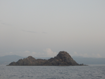 photo 1869498