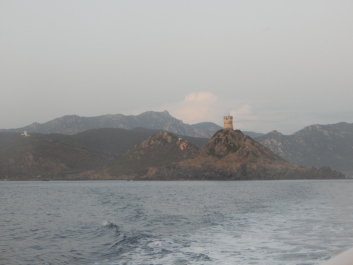 photo 1869499
