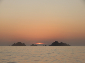 photo 1869685