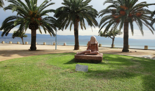 DSC08988
