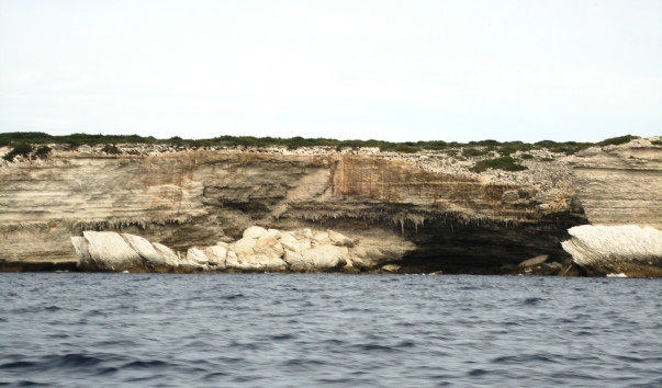 DSC09630