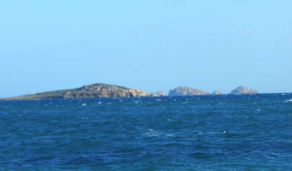 DSCN6441