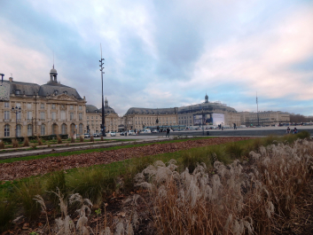 photo 1868553
