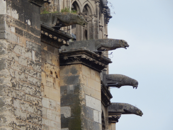 photo 1873198