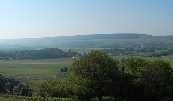 DSCN3299