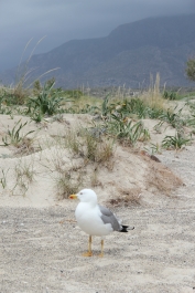photo 774842