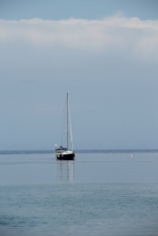 photo 774849