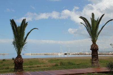 photo 774853