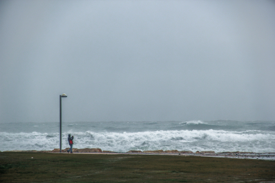 photo 1179257