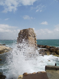 photo 127471