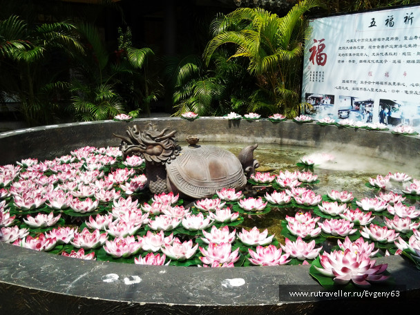photo 1619621