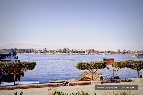 photo 259783