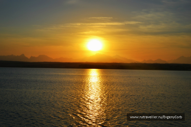 photo 259817