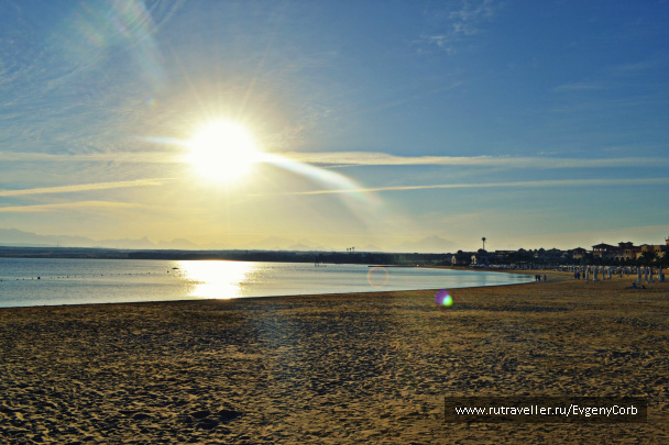 photo 259824