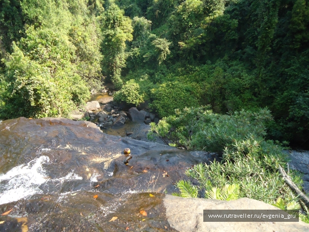 photo 899515