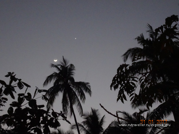 photo 1486582