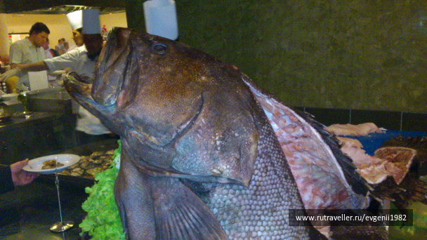 photo 75298