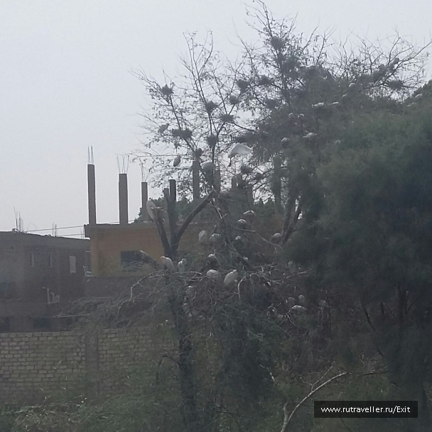 photo 1237598