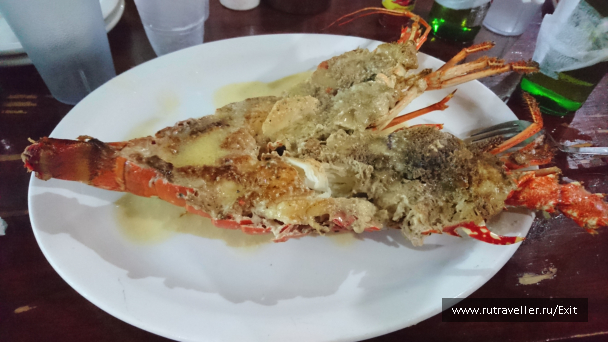 photo 1237659