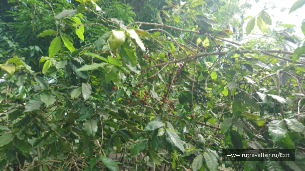 photo 1237670