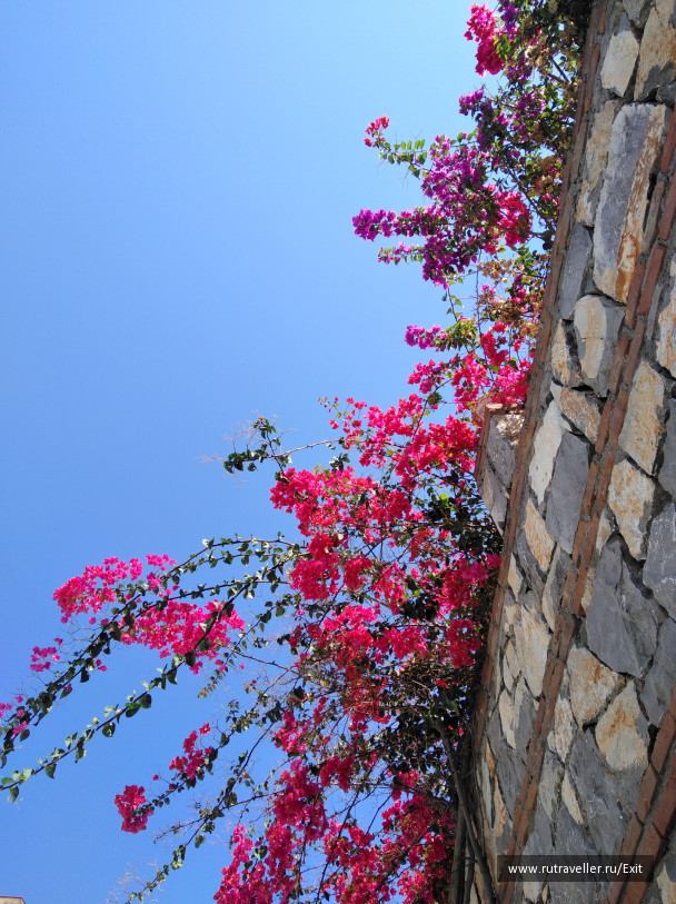 photo 1714038