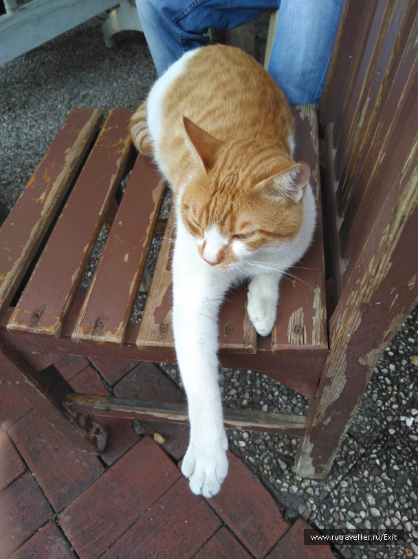 photo 1714042