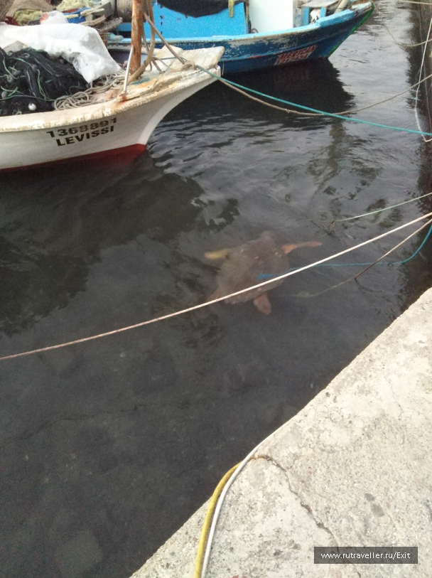 photo 1714048