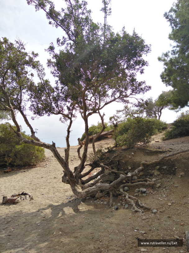 photo 1714141