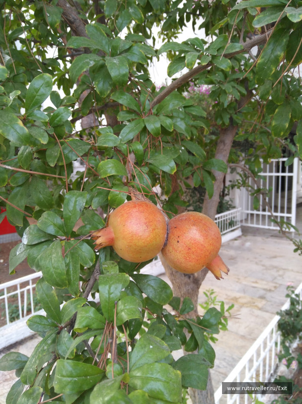 photo 1714799