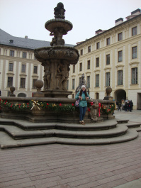 photo 222446