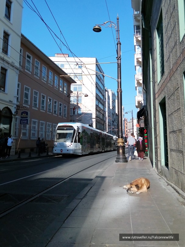 photo 1561930