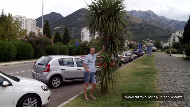 photo 1561717