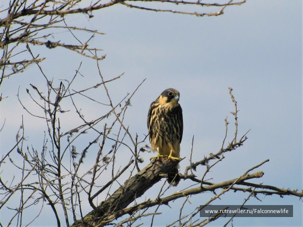 photo 1563150