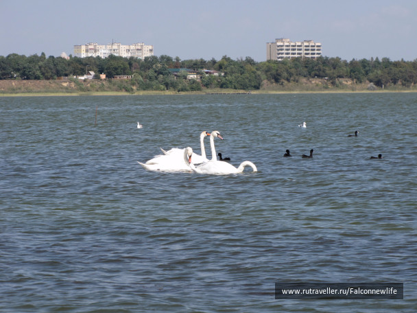 photo 1563151