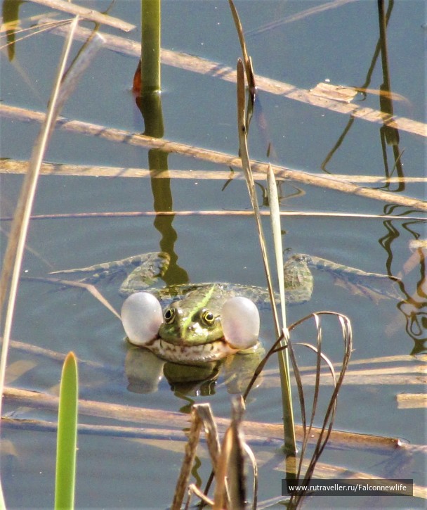 photo 1563152
