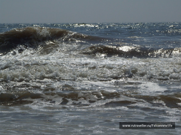 photo 1563758