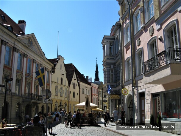 photo 1563834