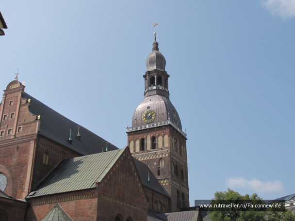 photo 1564169