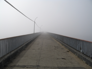 photo 1566164