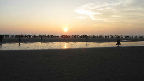 photo 619920