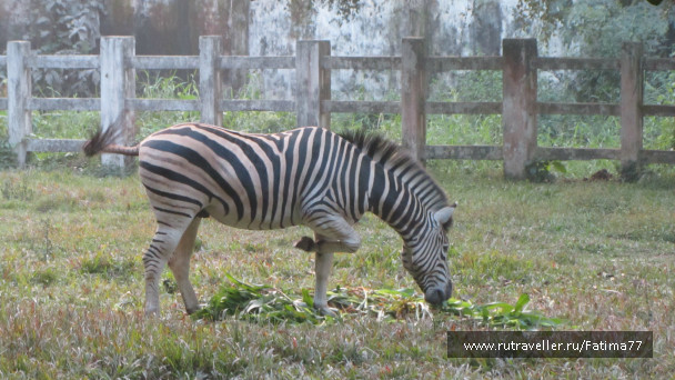photo 646807