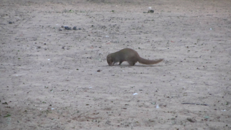 photo 646808