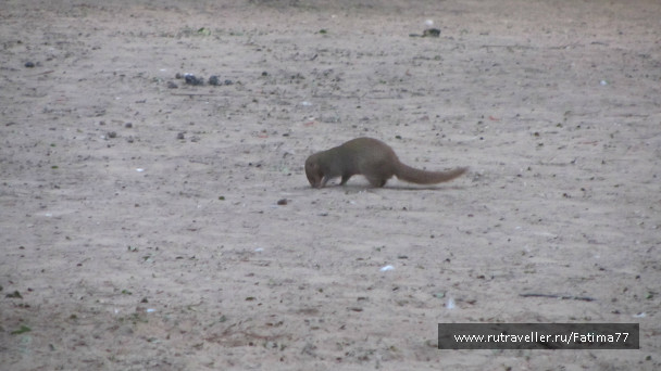photo 646808