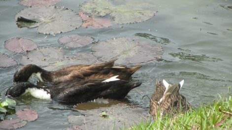 photo 646809
