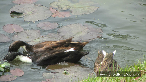 photo 646809