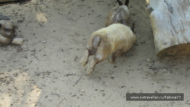 photo 612792